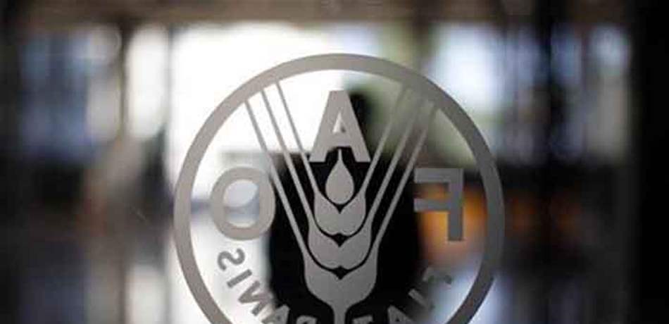 Doc-P-585599-636930059146834374