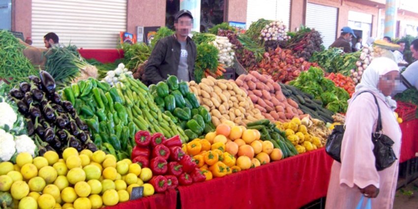 articlesprincipalesmam_0