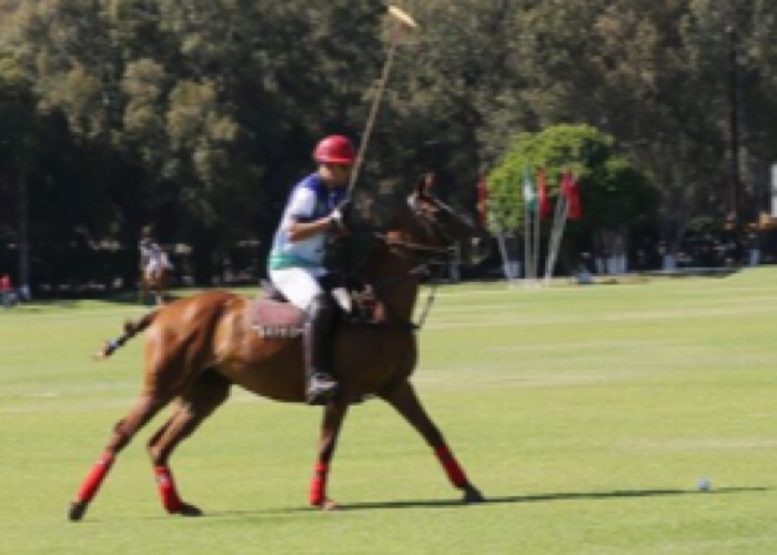 2243FA08-6018-419B-BA66-5DC2DE0958A0