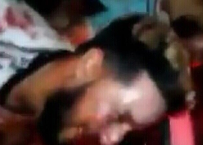 6BF264A6-48BD-462D-AEEF-819DBD45D929