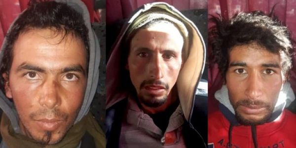 8452113B-D674-4D38-B441-802A039B93DA-600x300-c