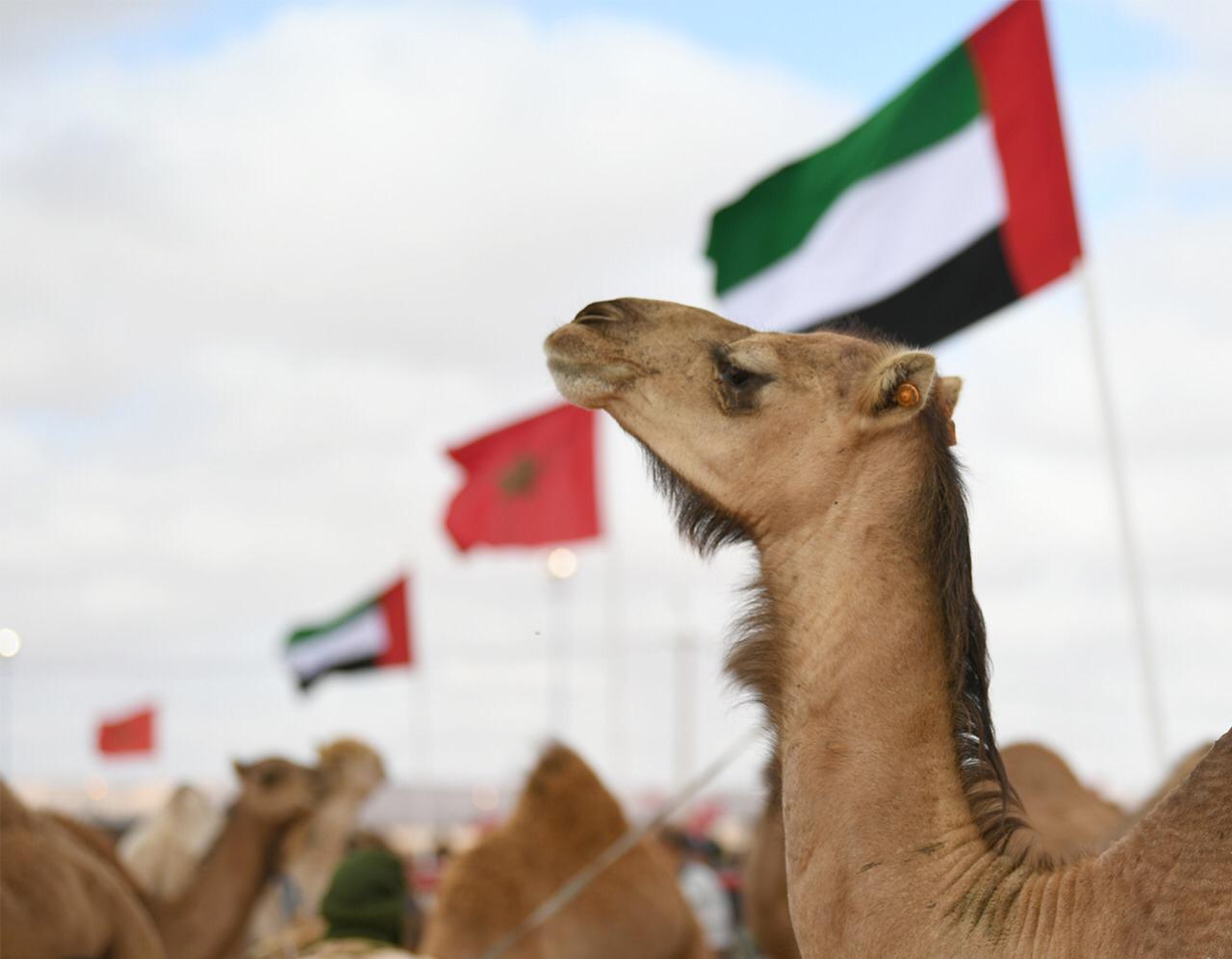 B2B15649-B6C0-4793-98EC-6CA148FFC657