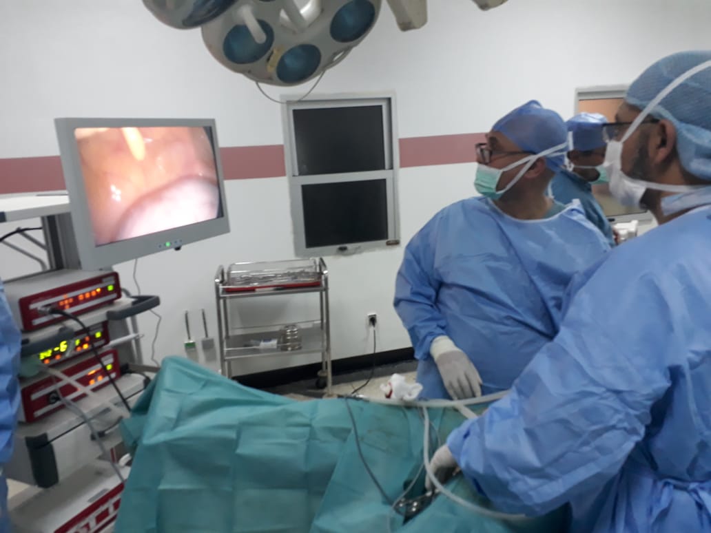 EBE701A4-4AF4-402B-A589-B3649C969453