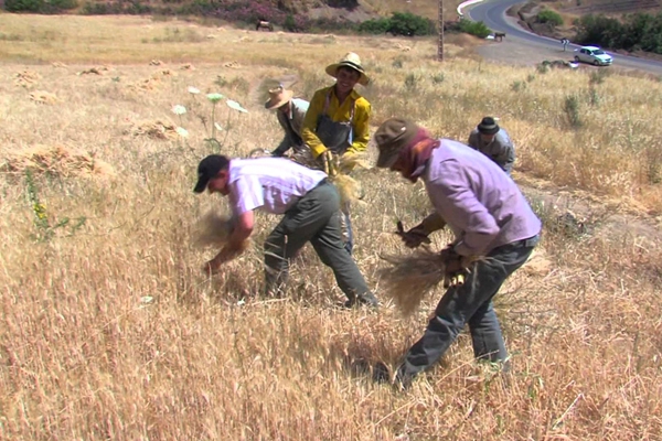 cff1c1d73a0b2643d4da7d511c7a8183_XL