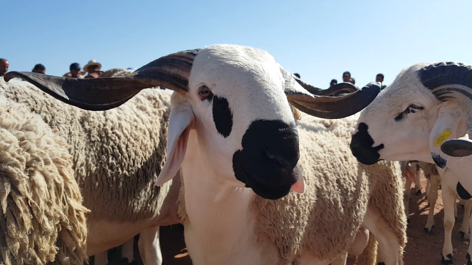 079F0B91-3FDF-49DD-BCBD-546FE5AF416D