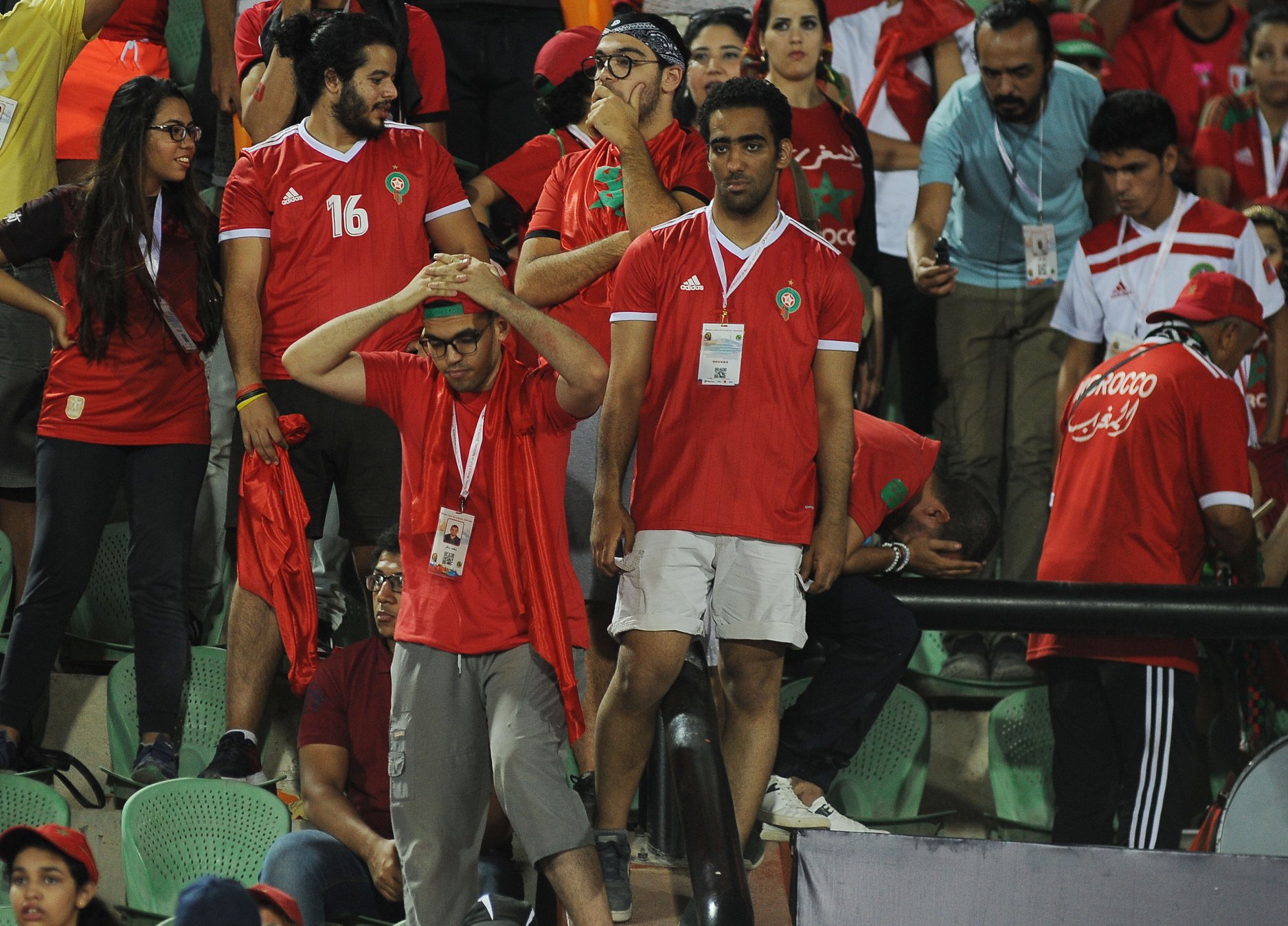 65834153_2467395976615712_6834336932751736832_o