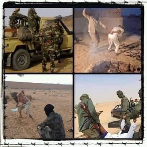 66733898_665523643947597_5138840288474693632_n