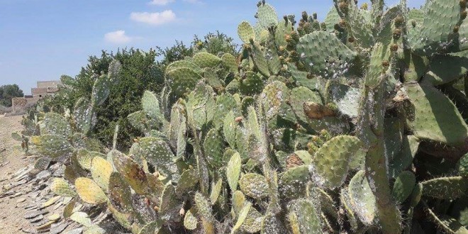 93E5028F-2ED1-42D3-B1E3-5AC19856AC0B