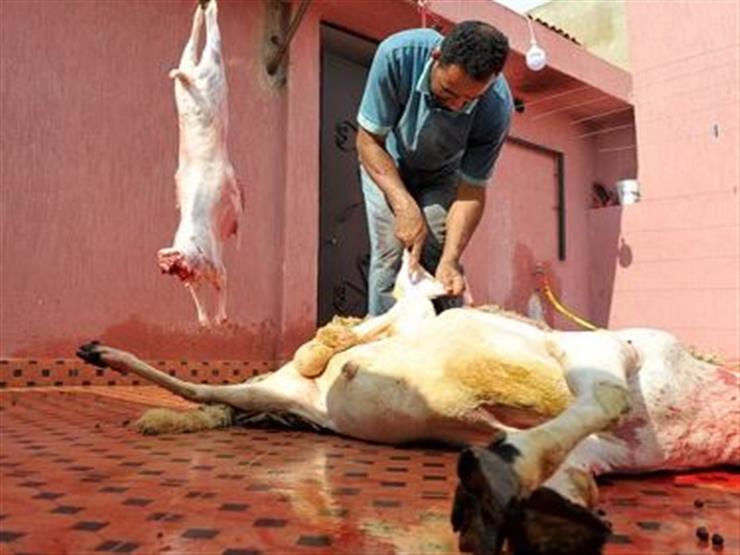 2019_8_10_16_42_41_634