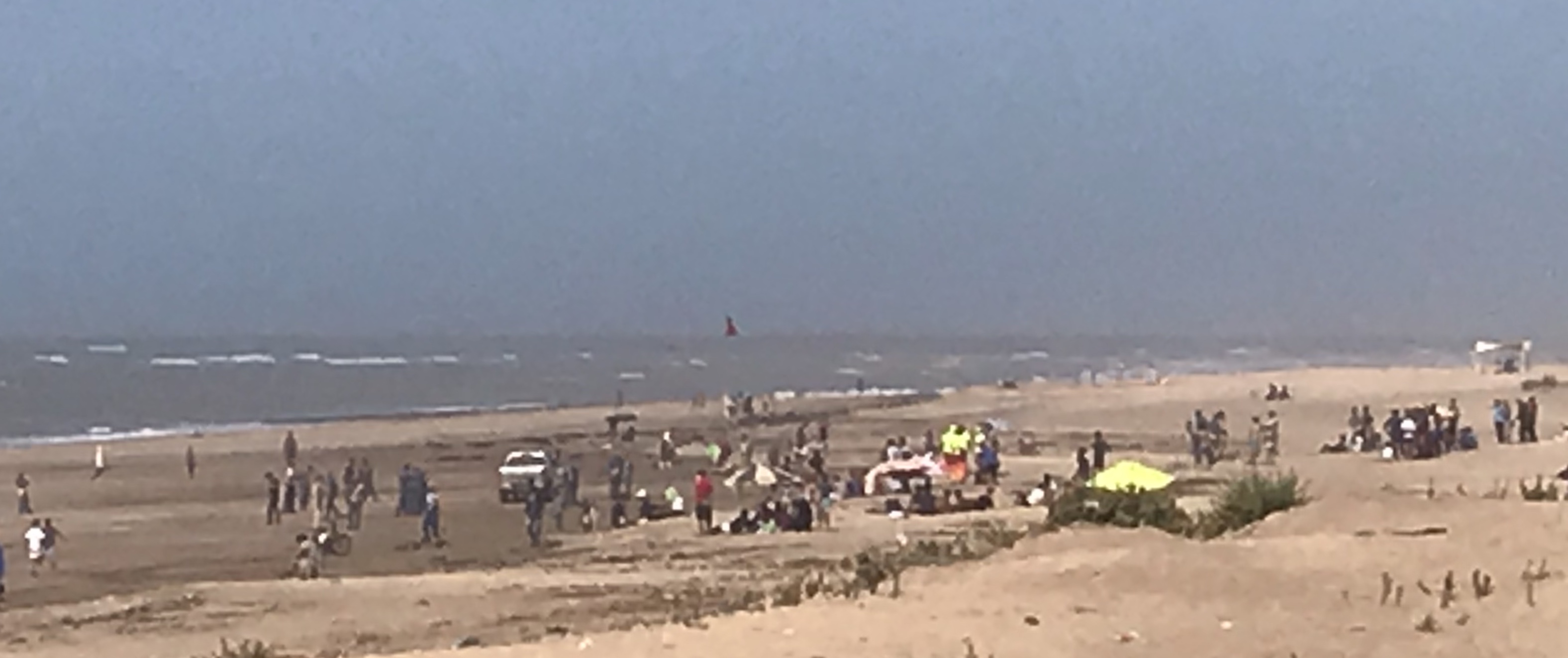 319C9300-374D-4782-AA41-D96166652BEE