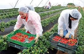 7B5DE5E4-6D31-463D-B2FF-60CC1622591F