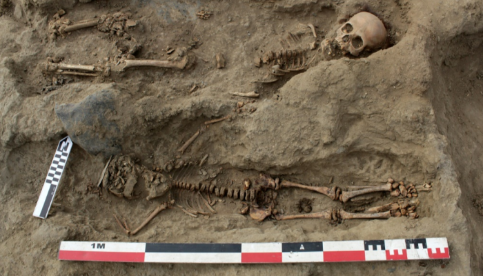 A2295A8D-8E47-440B-8D11-C4B009E2644C