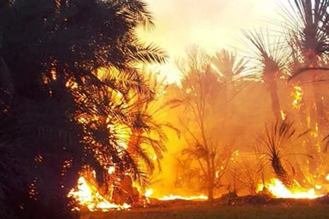 B8188EC3-02E0-4103-98AC-748FC6DE1426