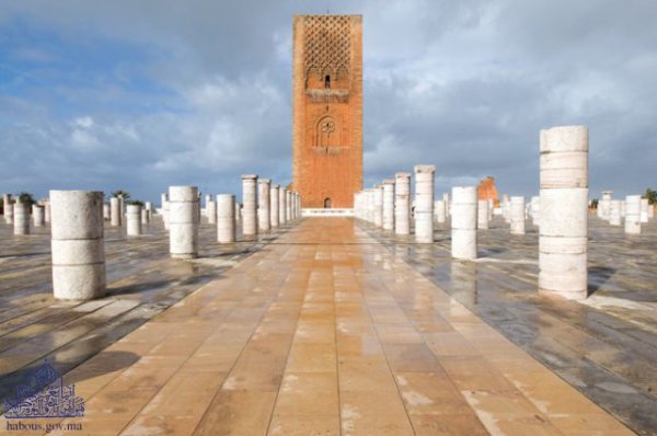 3182464597_1_2_Lw3dTzqH