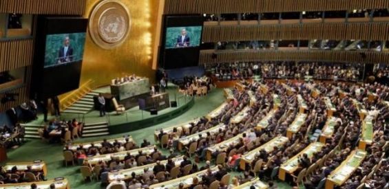 69580_67f2501c70d56a510aaa3a3e7bfad80b20181005133143_thumb_565