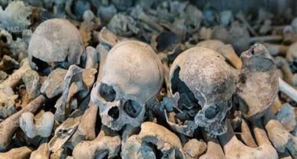 1a0cf455-4647-4abf-a2fb-c89399f1ea12-1vygcfqzxhv0i25stuks5p9r2olyd2n41qmjfekvl8f8