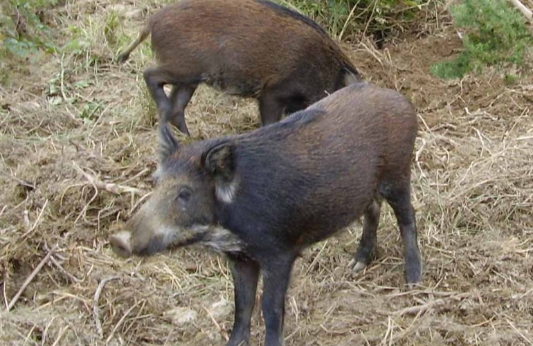 DED27269-7A4F-46E9-AFC9-EF26FC21D9FB