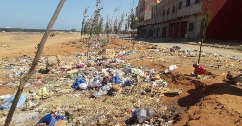 received_580222569178016-780x405