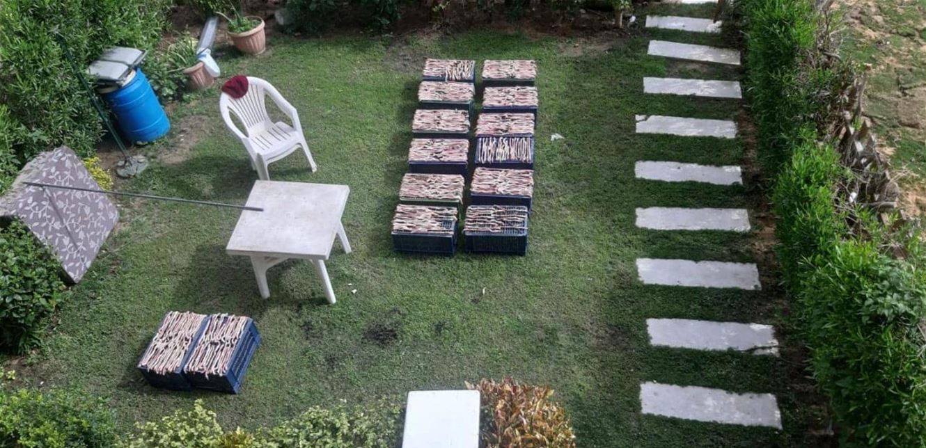 Doc-P-687405-637208038261320944