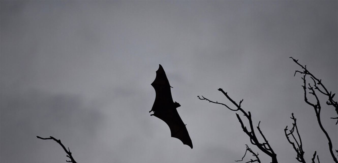 Doc-P-693734-637225007343633231