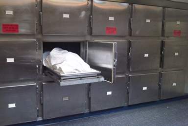 Image-384-512-230987