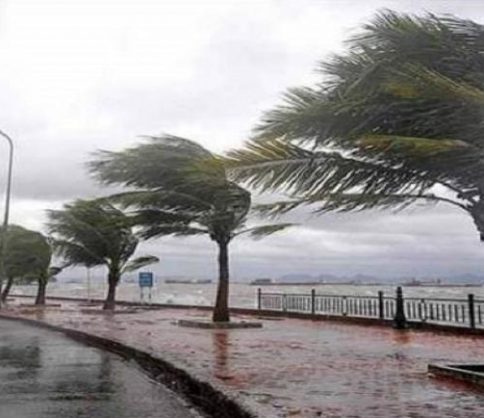 unnamed-file-116-6ucguzqi3o7mb3ife8y0avmboqmc7qgygbysr8vqz83-484x418