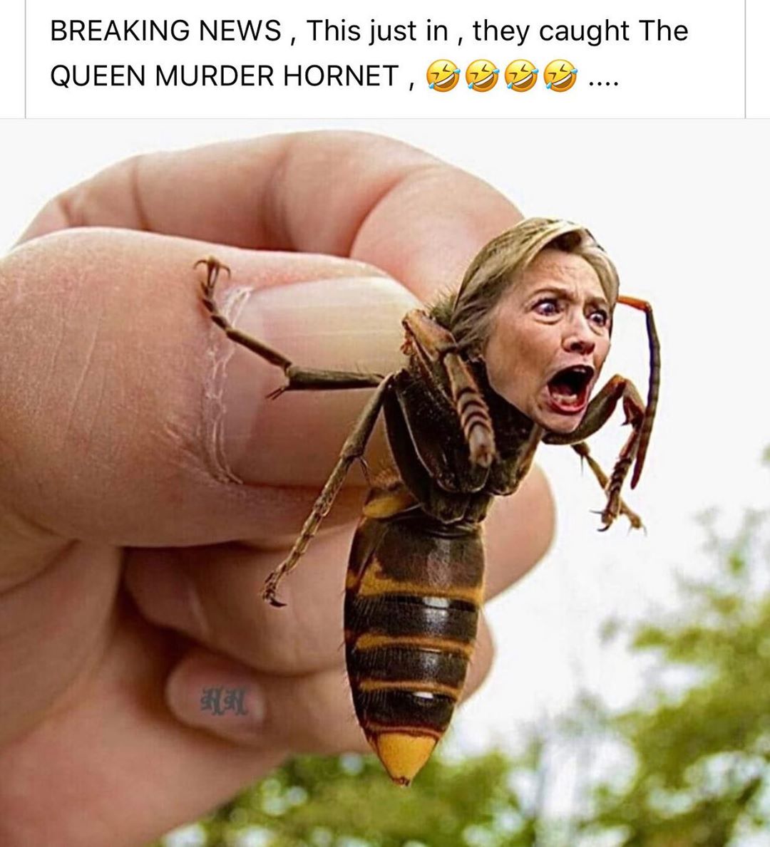 126437-donaldjtrumpjr_95907786_274102990649616_481496426617864632_n