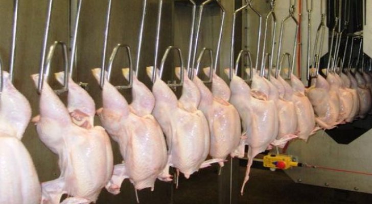 uMDD4P990gprixLJTkgygoLCfLrBMyltFPOXIdGr