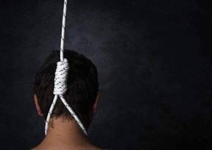 0833F32F-2ED5-46FD-BE68-B3EE0702A4F9-1