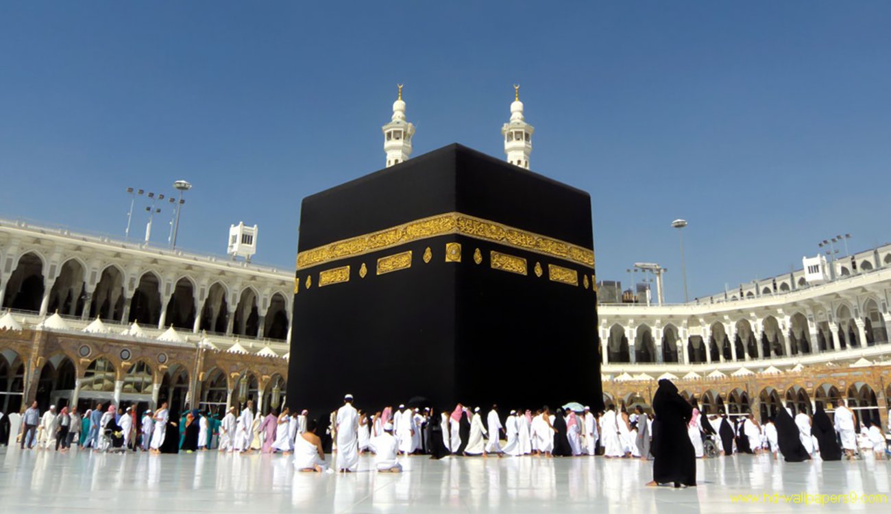 16094779981503646243