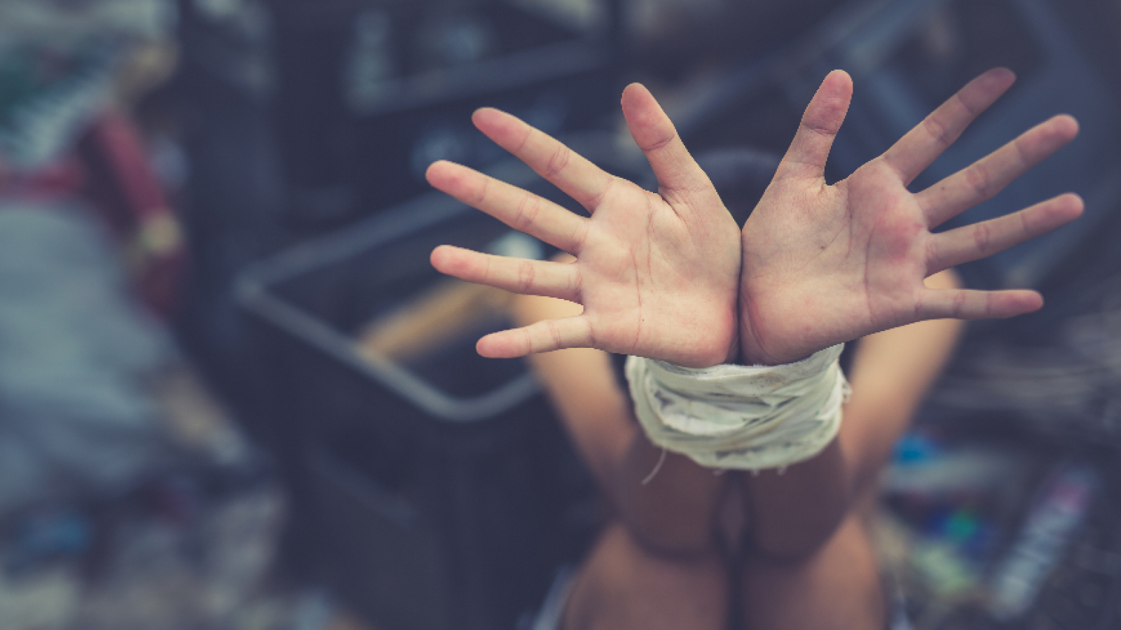 photo South Programme