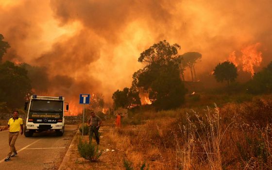 dce501df39f7f3c8c2d89df248d8f5e6