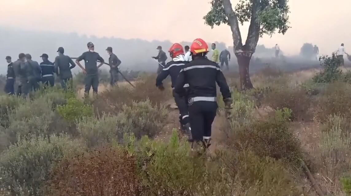 incendie-foret-fnidq