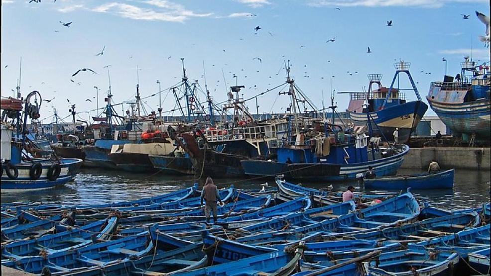 612664395a40232133447d33247d383334333133343633