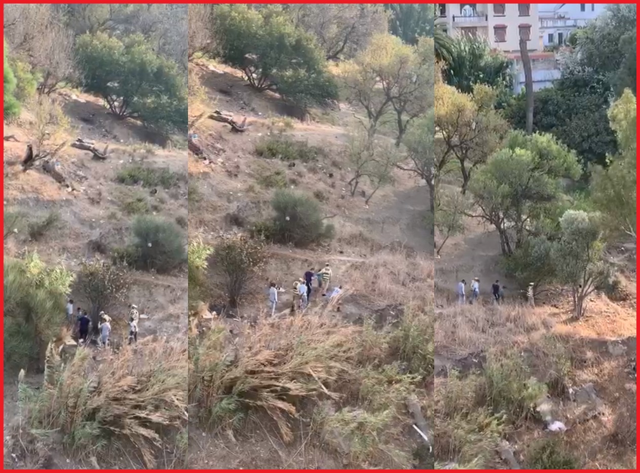 PHOTO-2020-09-29-12-31-38