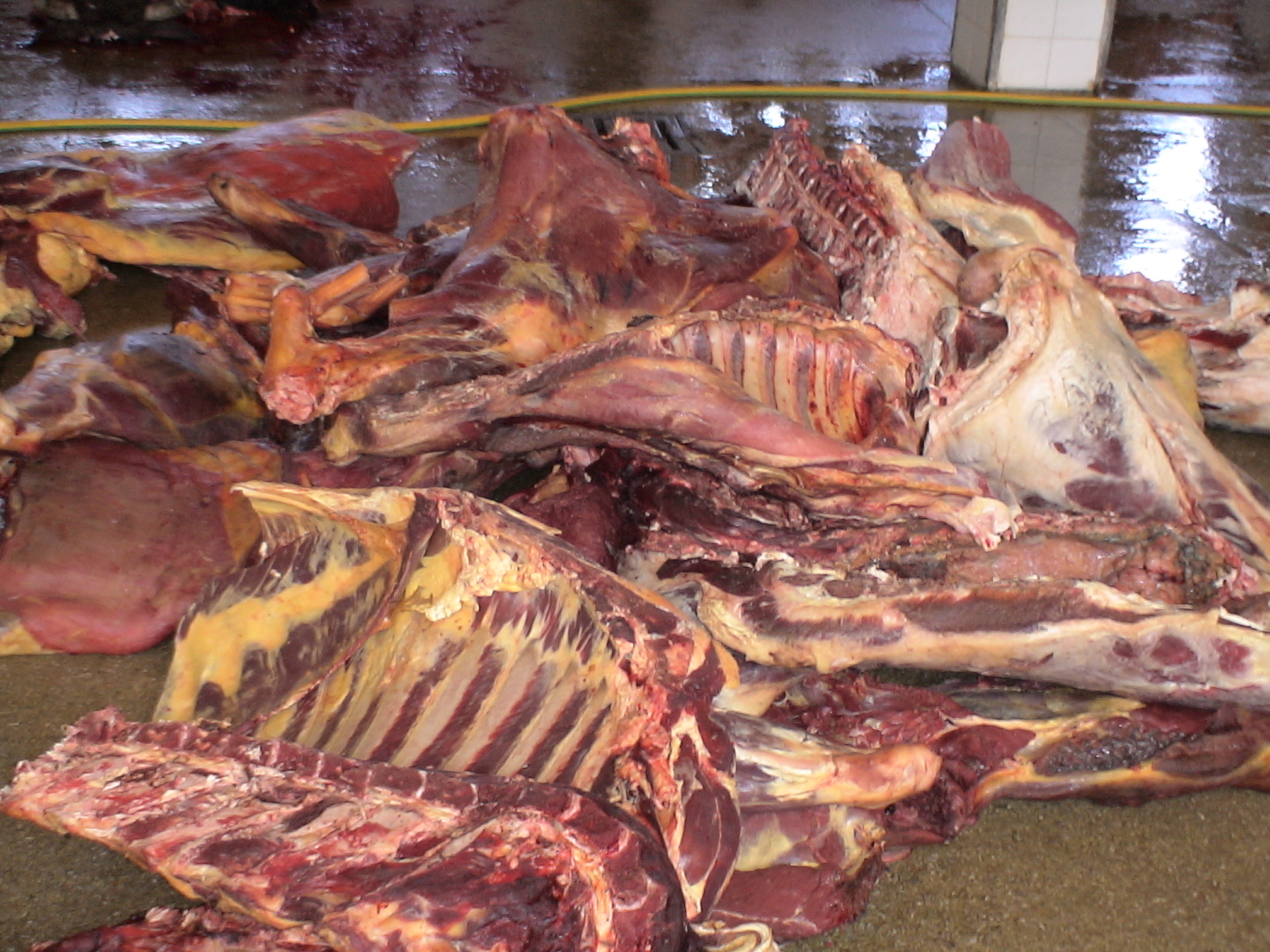 Viande-atteinte-de-tuberculose-saisie-dans-les-abattoirs-dOujda
