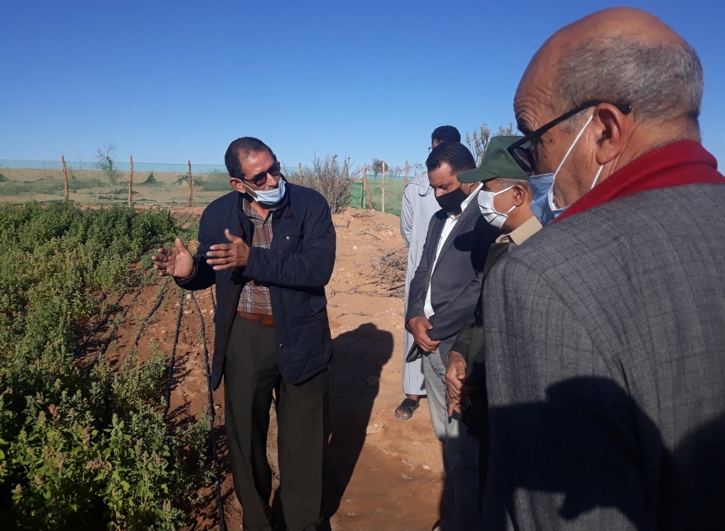 Screenshot_20201206-215209_Gallery