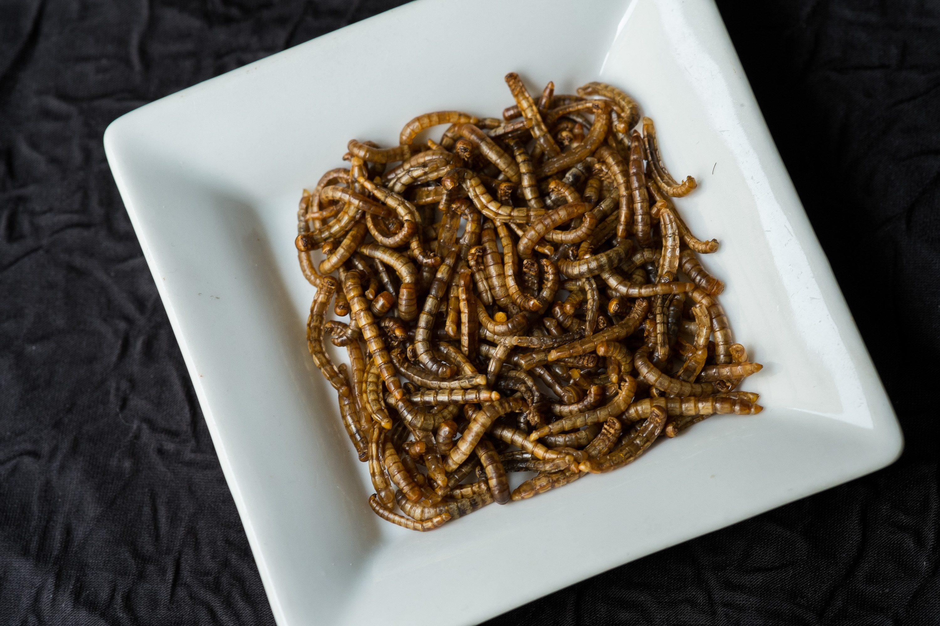 French Chef David Faure Cooks Bugs In His Restaurant 'Aphrodite' in Nice