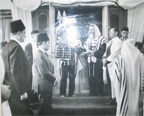 44BF2A80-0227-48D9-B64D-44026436A588