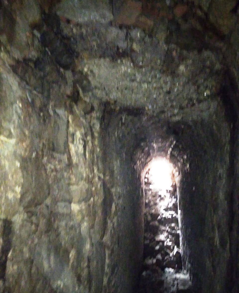 149670527_3713155945432569_8595059262950807000_o