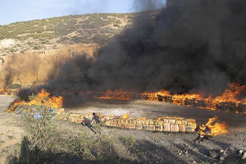 IMG_18022021_104129_600_x_400_pixel