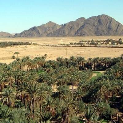 FB_IMG_1615923355622