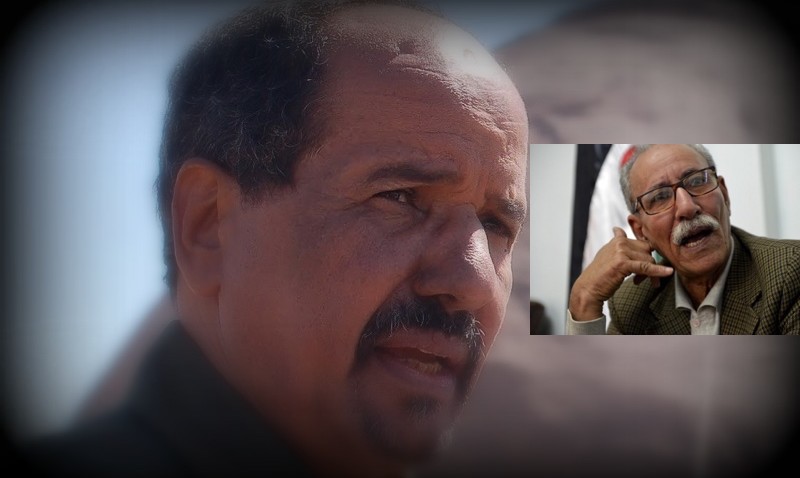 mohamed-abdelaziz3-800x478