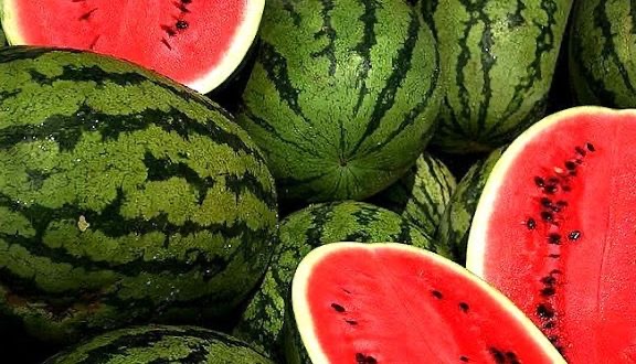 D97E2089-86F8-46FF-98F1-EF2F63D118EA