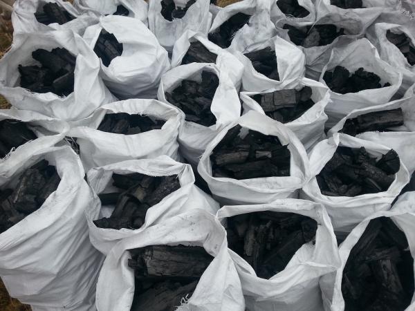 2773768.jpeg_1626696830