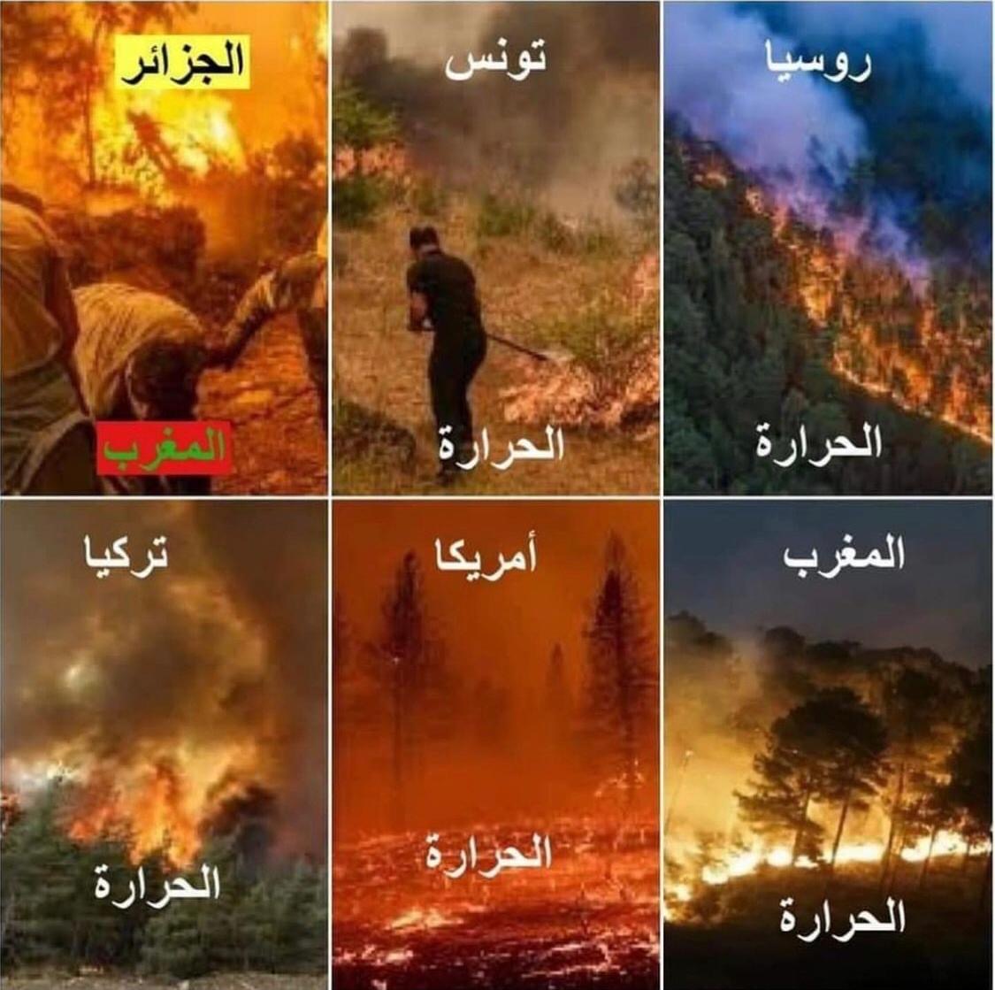 25C7E90C-7B72-406F-AADF-9F3B1A5A8DD2