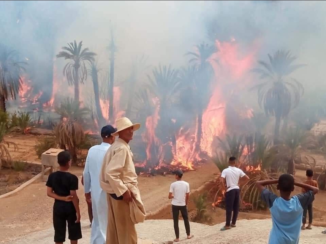 Screenshot_20210810-214852_WhatsAppBusiness