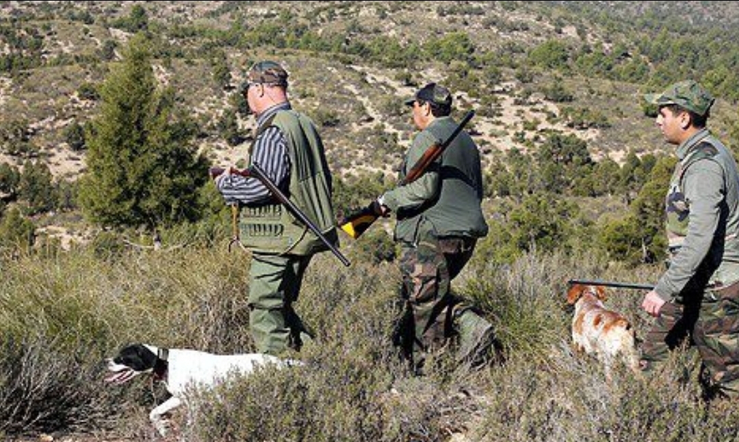 Screenshot_20211003-112755_WhatsApp