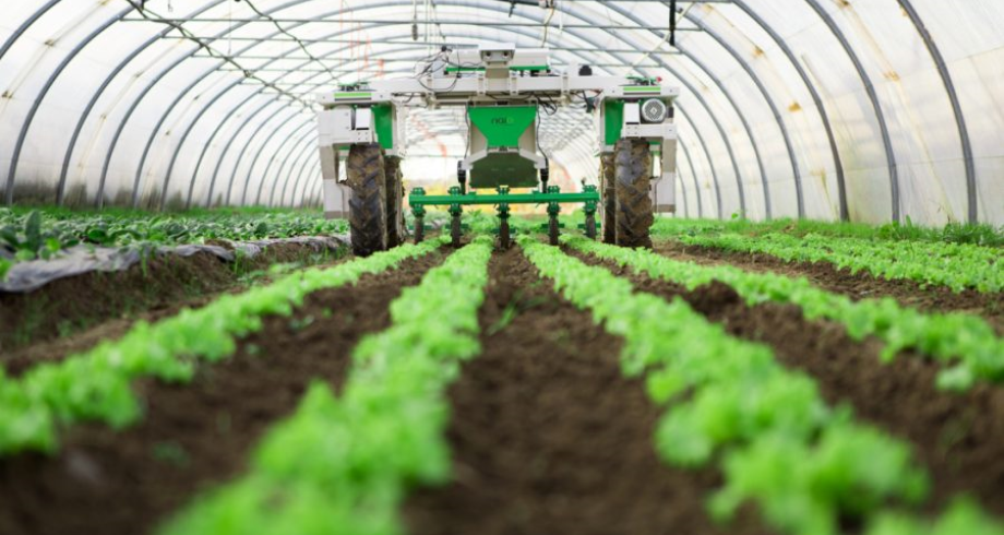 vis_0713202109503252