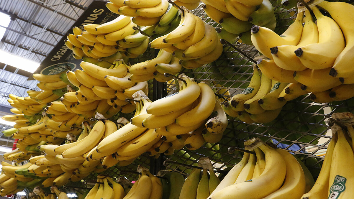 1028823619_0_218_4180_2570_1200x0_80_0_1_4f6e96f75a7e18943cef86fe635287b9